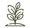 Le restaurant - L’Optimiste - restaurant SURESNES
